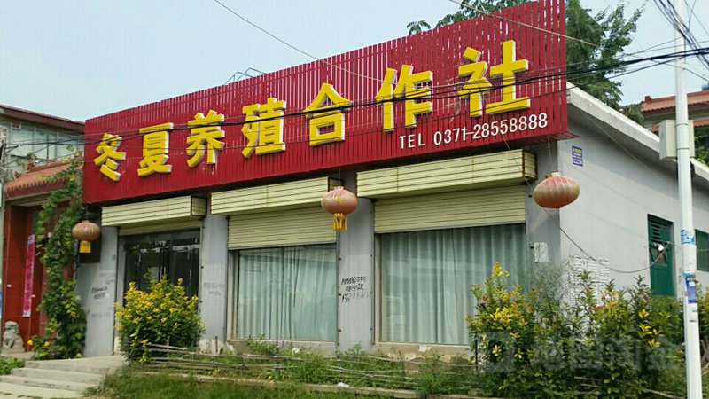 太白县养殖合作社：从农户到市场的桥梁